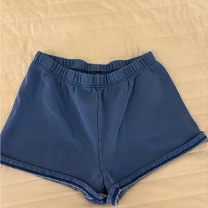 Aritzia TNA Blue shorts